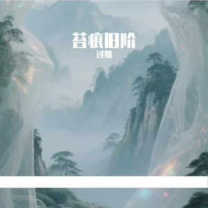 苔痕旧阶