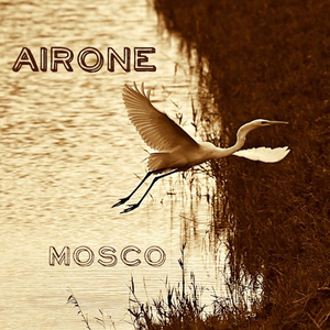 Airone