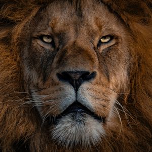 AI创作_纯真年代