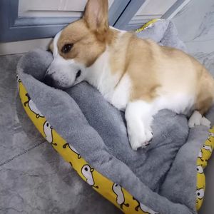 很多爱 prod.by Morrow