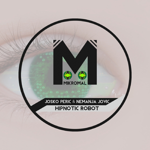 Hipnotic Robot (Original Mix)