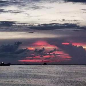 Brightly lit（通明）（instrument）