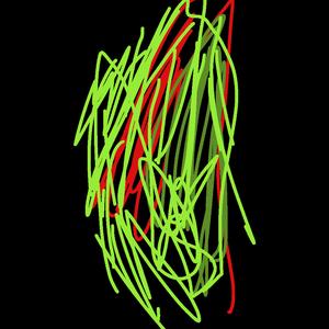 Hund Katt (Bandet Höll)