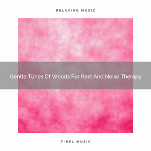 The Moment The Rain Composes Sweet Tunes Just For Your Comfort And Chillout