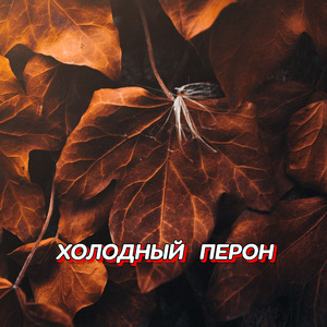 ХОЛОДНЫЙ ПЕРОН