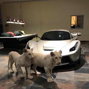 no broke boys x make me feel (house)