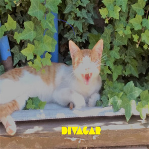 Divagar