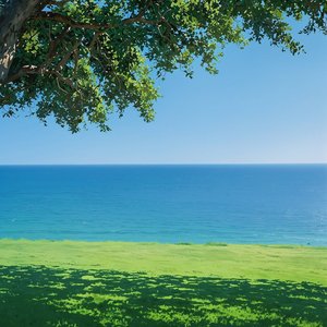 Sun on the Shore