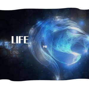 你的柔情我永远不懂