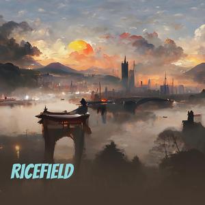Ricefield