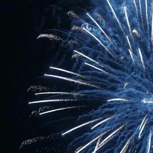 我本将心向明月