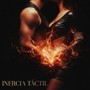 INERCIA TÁCTIL