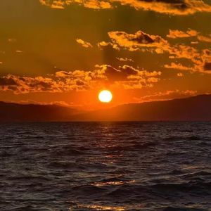 失约（Prod by Dawn）