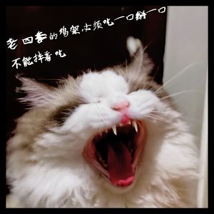 虽然我的鑫源400能翘头