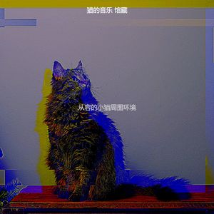 微妙的可爱的猫心情