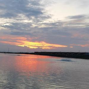 月亮代表我的心