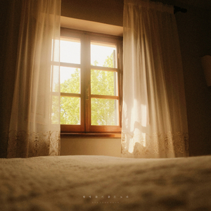 별이 내리는 길목에서