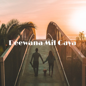Deewana Mil Gaya