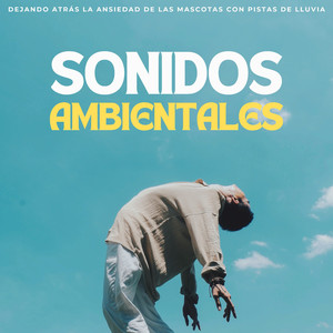 Lluvia Calmante Para Mascotas Ansiosas