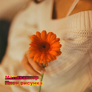 Плен рисунка