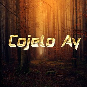 Cojelo Ay