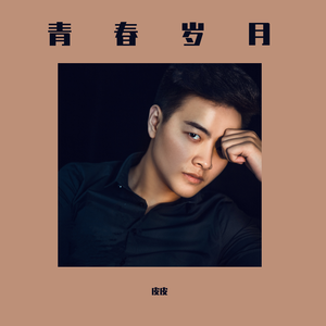 漂洋过海来看你-皮皮