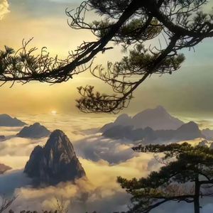 雨后水洼的缩小地图