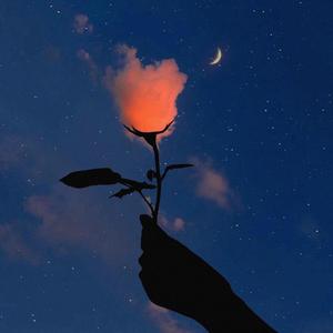 月遇从云，花遇和风