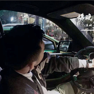 Joe Newman-下坠Falling（温峤 remix）