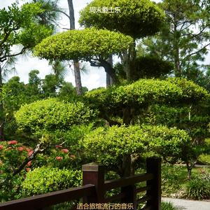 适合旅馆伤感的音乐