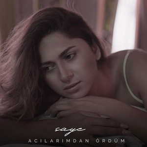 Acılarımdan Ördüm