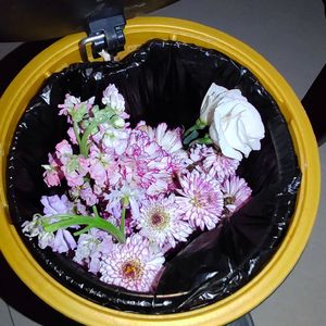 城市夜色下的永恒情长