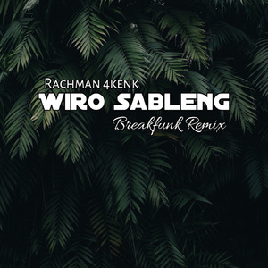 Wiro Sableng Breakfunk (Remix)