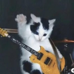 봄, 여름, 가을, 겨울