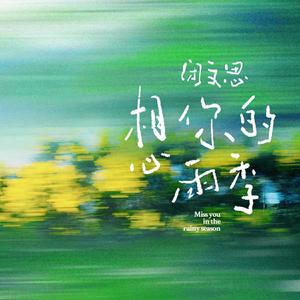 想你的雨季