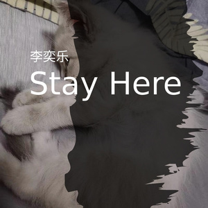 Stay Here
