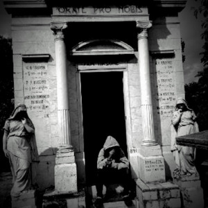 Bagai Petir Menyambar Raga