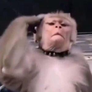 你是人间四月天
