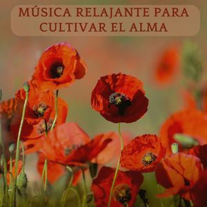 Jardín De Serenidad