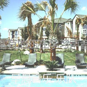 一尘不染假期印象数