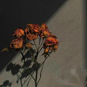 Tamaka Kapqukum Kuruk