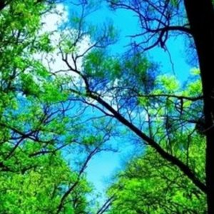 今生无缘来生再聚1675218451394_113730_track0_113730