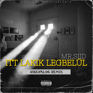 Mr.Siid - Itt Lakik Legbelül(RikGyalog Feldolgozás) (Remix)