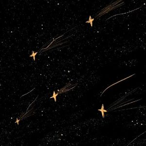 逐星