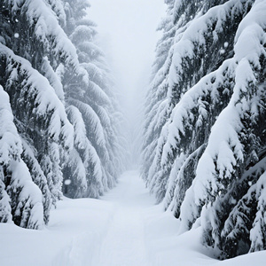 她替我走完余生