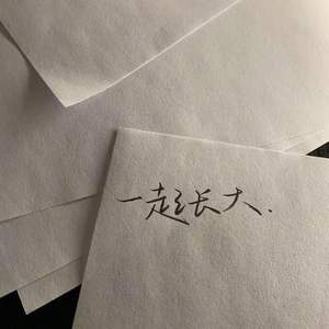 表面的和平（Cover 陈绮贞）