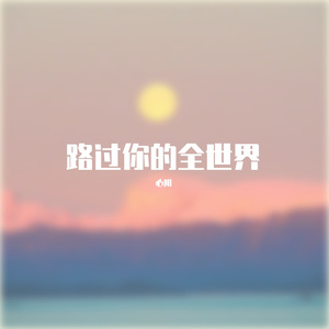 路过你的全世界