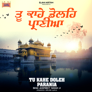 Tu Kahe Doleh Parania