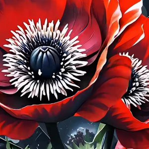 爱情是杯鹤顶红