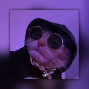 [BEAT] ''Roly''